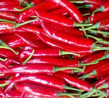 Chilli from AGROVIET Chilli – product photo, Chilli products found from trusted suppliers, wholesalers, manufacturers & exporters Listing