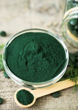 Chlorella Vulgaris Color Rich Green Form Fine Powder Moisture Content ≤ 7% Aroma Mild Algae Aroma Shelf Life 24 Months From The Production - PT Digdaya Sari Algae - Indonesia