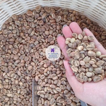 Robust Gayo Grade 1 | Natural | Export Grade 1 Acidity Low Defect Rate 0 - 5% Max. Moisture (%) 13% Processing Method Natural - PT. Asri Kopi Indonesia - Indonesia