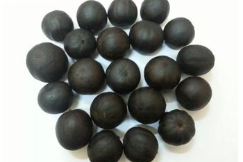 DRIED BLACK LEMON Form Whole Or Crushed Availability Year-round Aroma Intense And Tangy Packaging Material Polypropylene Or Paper - Herbs Maker - Egypt