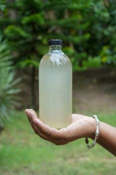 Organic Coconut Oil - EOSAT Edible Oil South Asia Trade - Indonesia