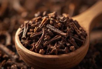Premium Indonesian Whole Cloves (Syzygium aromaticum) Zanzibar, Lalpari, AB6 All Grade from Integra Artha Terra Premium Indonesian Whole Cloves (Syzygium aromaticum) Zanzibar, Lalpari, AB6 All Grade - Integra Artha Terra - Indonesia