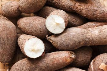Cassava - Aiyeaco Ventures Nigeria Limited - Nigeria