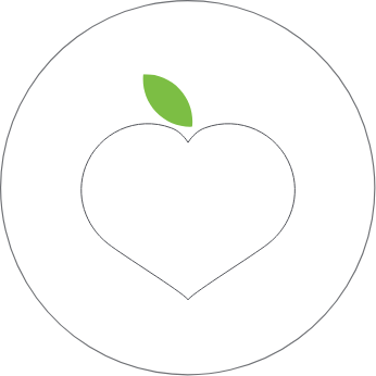Fruity Carbonates, Energy Drinks, Lemonades - Gat Foods ‐ International Beer Breweries Ltd. - Israel