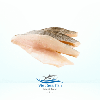 Grouper Fillet Skin-On - Viet Sea Fish Ltd., Co. - Vietnam