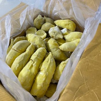 Durian from Vietnam durian frozen sweet taste King of tropical fruits wholesale tropical fruit frozen organic fruit materials - NGAN HOA PHAT TRADING SERVICE COMPANY LIMITED - Vietnam