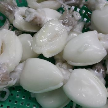 Top quality Frozen Cleaned Cuttlefish Competitive Price Grade A Style FROZEN Weight (kg) 1 Feature NATURE Variety - TANIS IMPORT & EXPORT COMPANY LIMITED - Vietnam