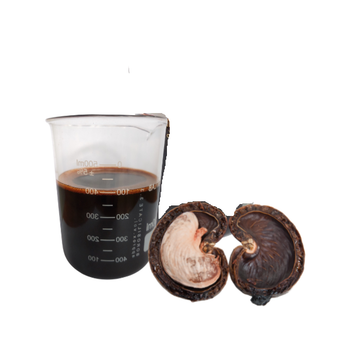 Available Refined Cashew Nutshell Oil for Industrial, Bioenergy, Biofuels, Cardanol - HUNG LOC CASHEW OIL PRODUCTION COMPANY LIMITED - Vietnam