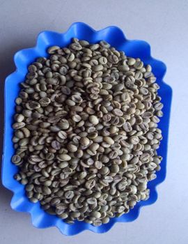 ROBUSTA GREEN COFFEE BEANS SCR#16, VIETNAM ORIGIN, HIGH QUALITY, REASONABLE PRICE (used to make hot beverage, etc.) from FRESHGOODS GROUP ROBUSTA GREEN COFFEE BEANS SCR#16, VIETNAM ORIGIN, HIGH QUALITY, REASONABLE PRICE (used to make hot beverage, etc.) - FRESHGOODS GROUP - Vietnam