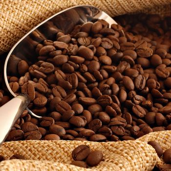Best sale Organic Robusta and Arabica Coffee Beans Vietnam Coffee Bean Roasted,green Bulk Packaging 60 Kg – product photo, Organic Roasted Chestnuts products found from trusted suppliers, wholesalers, manufacturers & exporters Listing