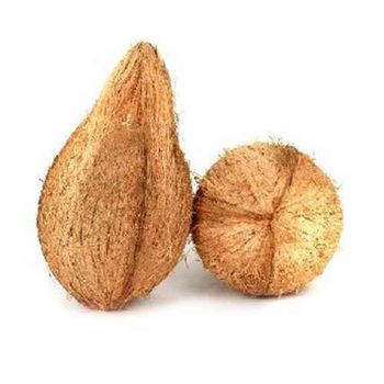 Semi husked Coconut Fresh From Vietnam Best Price for Export with 100% High Quality Product from NGAN HOA PHAT TRADING SERVICE COMPANY LIMITED Semi husked Coconut Fresh From Vietnam Best Price for Export with 100% High Quality Product - NGAN HOA PHAT TRADING SERVICE COMPANY LIMITED - Vietnam