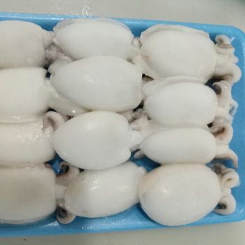 Top sale at best price frozen Cleaned Cuttlefish from Vietnam - TANIS IMPORT & EXPORT COMPANY LIMITED - Vietnam