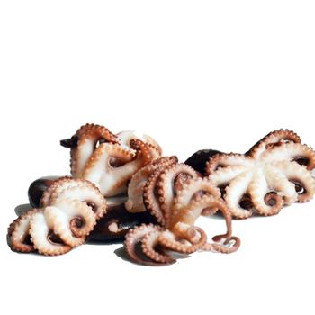 Sock price frozen whole octopus cleaned for wholesales - TANIS IMPORT & EXPORT COMPANY LIMITED - Vietnam