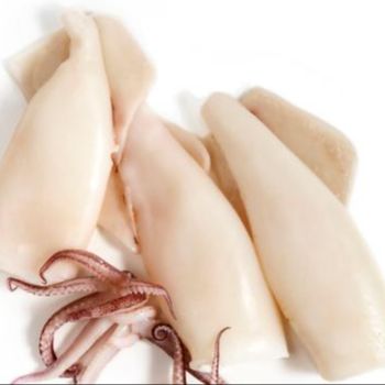 Hot product frozen squid cleaned for export from vietnam – product photo, Frozen Product products found from trusted suppliers, wholesalers, manufacturers & exporters Listing