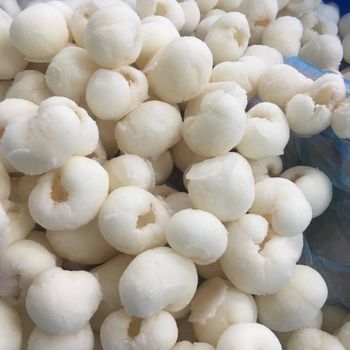 High quality IQF Frozen Longan seedless from Vietnam - Frozen Longan 100% Frozen lychee Longnhan origin Vietnam - NGAN HOA PHAT TRADING SERVICE COMPANY LIMITED - Vietnam