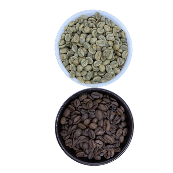 Robusta roasted Coffee Beans Small MOQ Customized Roast Semi-Wash Robusta Coffee Beans S16 Single Origin Vietnam Export Quality - VIET COFFEE COMPANY LIMITED - Vietnam