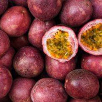 Passion Organic Frozen Golden Passion Fruit from Vietnam - Export wholesale High Quality (Certification: GAP, HACCP...) - NGAN HOA PHAT TRADING SERVICE COMPANY LIMITED - Vietnam