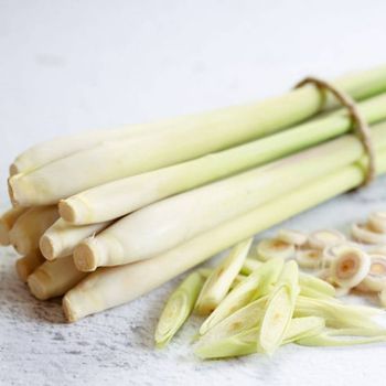 Fresh/Dried Lemongrass Export from Vietnam - Wholesale High Quality (Certification: GAP, HACCP...) - 100% Organic from NGAN HOA PHAT TRADING SERVICE COMPANY LIMITED Fresh/Dried Lemongrass Export from Vietnam - Wholesale High Quality (Certification: GAP, HACCP...) - 100% Organic - NGAN HOA PHAT TRADING SERVICE COMPANY LIMITED - Vietnam