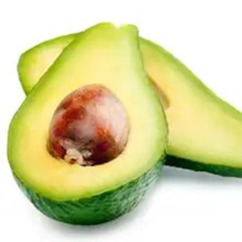 Fresh Avocado Made In Vietnam For Export With The Best Price Standard High Tropical Fruit New Crop 2023 - NHA HUYNH AGRICULTURAL COMPANY LIMITED - Vietnam