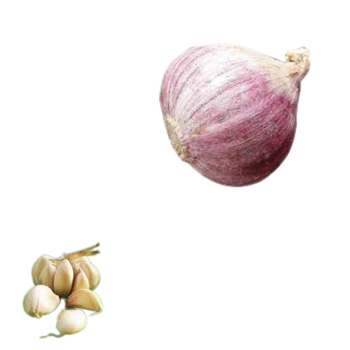 High Quality Garlic Used As A Seasoning For Dishes 100% Dried Garlic Organic Packed In Box Vietnam Manufacturer fresh garlic - RHINO TRAN CO., LTD - Vietnam