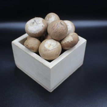 NS Vina New Crop Good Price Supari Betel Nut Areca Nut Style Dried Brand Name NSVN Model Number No.3 Certification - NS VINA IMPORT EXPORT TRADING MANUFACTURING COMPANY LIMITED - Vietnam
