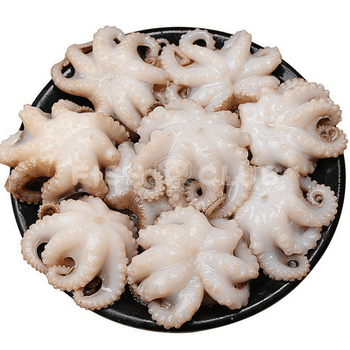 Hot item for Wholesale frozen whole octopus cleaned from Vietnam - TANIS IMPORT & EXPORT COMPANY LIMITED - Vietnam