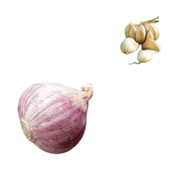 Fast Delivery Garlic Used As A Seasoning For Dishes 100% Dried Garlic Organic Packed In Box Vietnam Manufacturer peeled garlic - RHINO TRAN CO., LTD - Vietnam