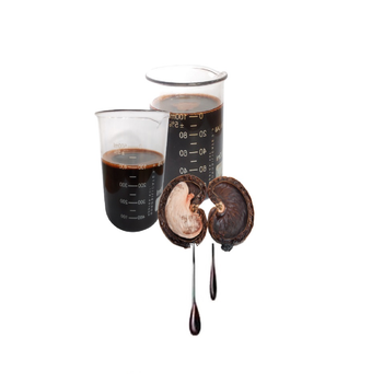 Cashew Nut Shell Oil Refined CNSL Used for Bioenergy Biofuels Cardanol Exported - HUNG LOC CASHEW OIL PRODUCTION COMPANY LIMITED - Vietnam