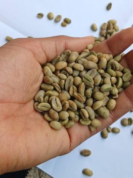 Premium Ethiopian Sidamo Grade 1 & Grade 2 Arabica Green Coffee Beans - ​Abdulwedud Abdulfetah Coffee Export - Ethiopia