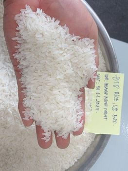 VIETNAM LONG GRAIN DT8 FRAGRANT WHITE RICE, 5% BROKEN - CTCP HOÀNG MINH NHẬT - Vietnam