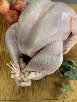 Frozen Whole Turkeys Weight 4kg To 8kg Sourcing Farm-raised Texture Plump, Tender Flavor Rich, Natural Flavor Weight (kg) 4kg to 8kg per turkey - MPAT Meat & Poultry America Trade - United States