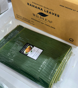 Frozen Banana Leaves Shelf Life 12 Storage Type stored at -18 degrees Celsius Packaging vacuum-sealed, 1kg per pack, 10 kg per - Wildleaf Trading Co., Ltd. - Thailand