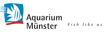 Product - AQUARIUM MUENSTER PAHLSMEIER GMBH - Global