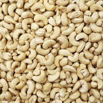 W320 Cashew Nuts Bulk Wholesale Distributors - DCR Harvest LLC  - United States
