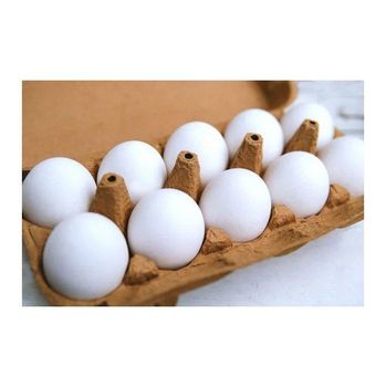 Farm Fresh Chicken Table Eggs / White Supplier of Fresh Protein Rich Farm Chicken Eggs Fresh Table Eggs White Farm from DCR Harvest LLC Farm Fresh Chicken Table Eggs / White Supplier of Fresh Protein Rich Farm Chicken Eggs Fresh Table Eggs White Farm - DCR Harvest LLC - United States