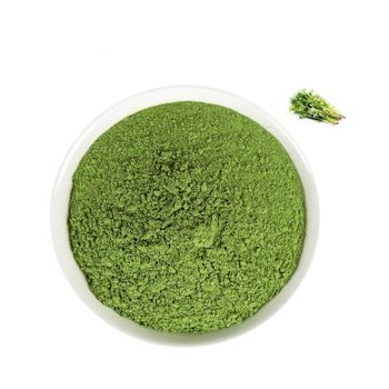 Coriander Leaves Extract Powder Bulk Coriander Seed Powder Coriander Powder - DCR Harvest LLC  - United States