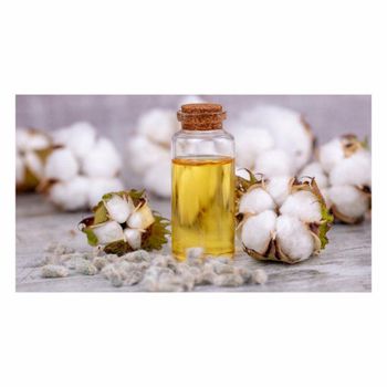 Best Sale Cotton seed oil  Packaging Bulk Grade High Quality Brand Name DCR Harvest - DCR Harvest LLC  - United States