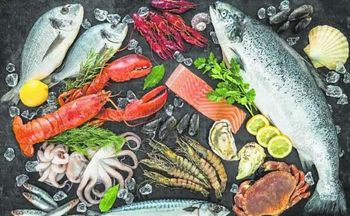 Fishery Products from Akın Global Food Fishery Products - Akın Global Food - Turkey