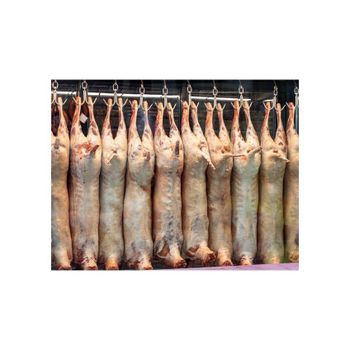 FRESH FROZEN GOAT MEAT / MUTTON MEAT / LAMB MEAT CARCASS FOR SALE - DCR Harvest LLC  - United States