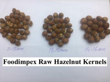 Hazelnut Kernels raw-natural Packaging Vacuum with outer - Foodimpex Gida Sanayi ve Ticaret AS - Turkey
