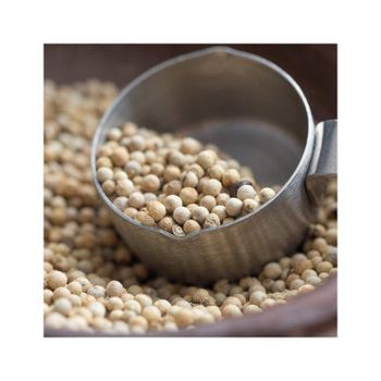Newest Crop Spices Wholesale White Pepper 100% Dried White Pepper Best Quality Spice from DCR Harvest LLC Newest Crop Spices Wholesale White Pepper 100% Dried White Pepper Best Quality Spice - DCR Harvest LLC - United States