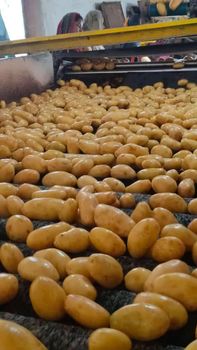 Fresh Mozika Potatoes – Premium Quality Export – product photo, Potatoes products found from trusted suppliers, wholesalers, manufacturers & exporters Listing