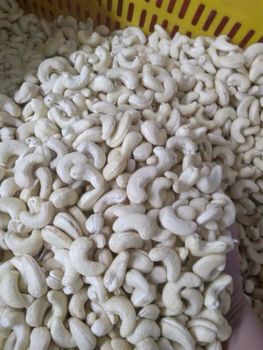 CASHEW KERNEL W180,W240,W320 AND W450 - AGRO AFRIQUE COMPANY LIMITED - Tanzania