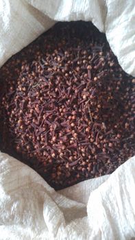 Dried Cloves AB6 from PT. Hasil Alam Bersama Dried Cloves AB6 - PT. Hasil Alam Bersama - Indonesia