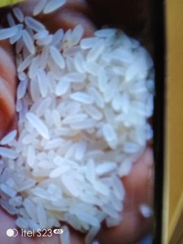 Maize, Rice, Millet and Palm Oil - Kagba integrated resources limited  - Nigeria