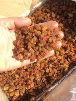 Iranian Raisins – product photo, Raisins products found from trusted suppliers, wholesalers, manufacturers & exporters Listing