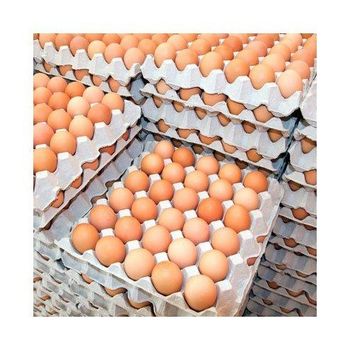 Cheap Price Wholesale Fresh Chicken Eggs For Sale In bulk Farm Fresh Chicken Brown Eggs for Sale from DCR Harvest LLC Cheap Price Wholesale Fresh Chicken Eggs For Sale In bulk Farm Fresh Chicken Brown Eggs for Sale - DCR Harvest LLC - United States