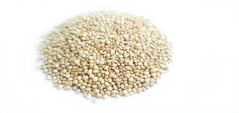 Quinoa seeds Color White Country Of Origin India Quality Type Conventional Packaging Type 25 Kg Pp Bags Potential Contaminants Traces Of Other Nuts Or - AGROPHILIA - India