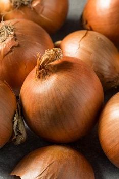 Onion - Next Company  - Netherlands