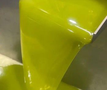 Organic Virgin Olive Oil Grade - Bruckmann GmbH - Germany